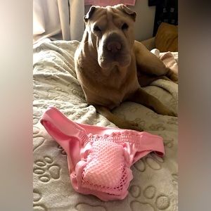 P’Nappy, breathable pet heat cycle panty/ diaper